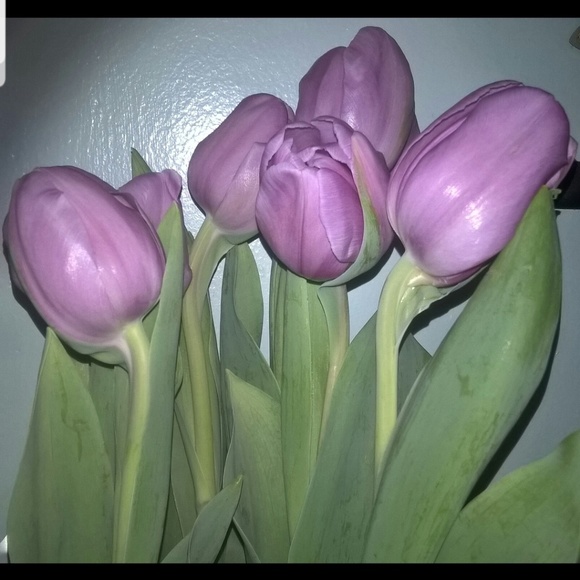 Meet your Posher, Soni Posh Ambassador - Picture 6 of 8